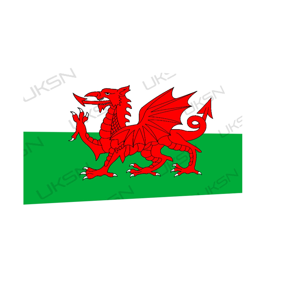 UKSN Region 2 Flag - Wales (100 x 70cm) - Ideal for Charters