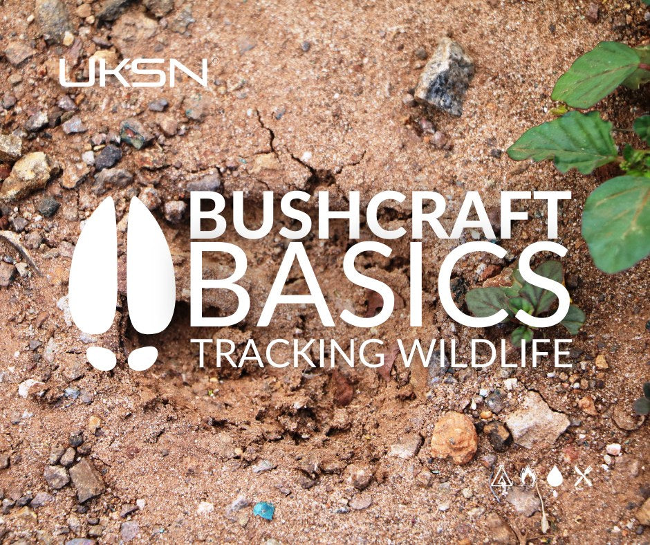 UKSN Bushcraft Basics: Tracking Wildlife