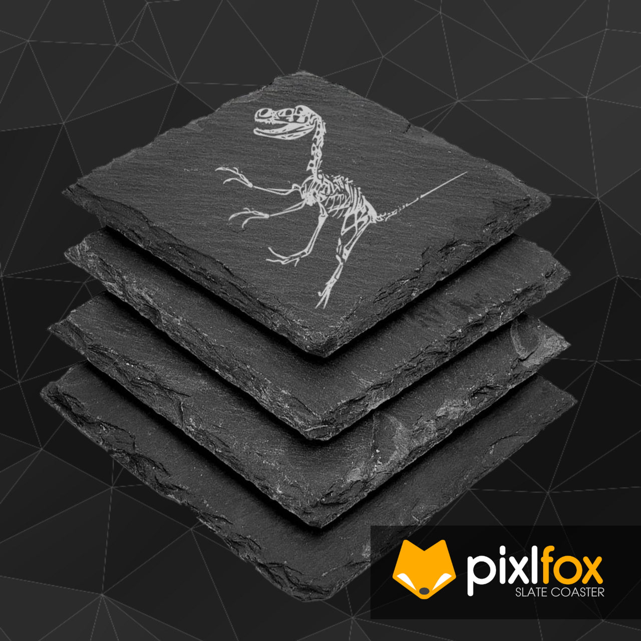 Laser Engraved Fossil & Dinosaur Skeleton Slate Coasters